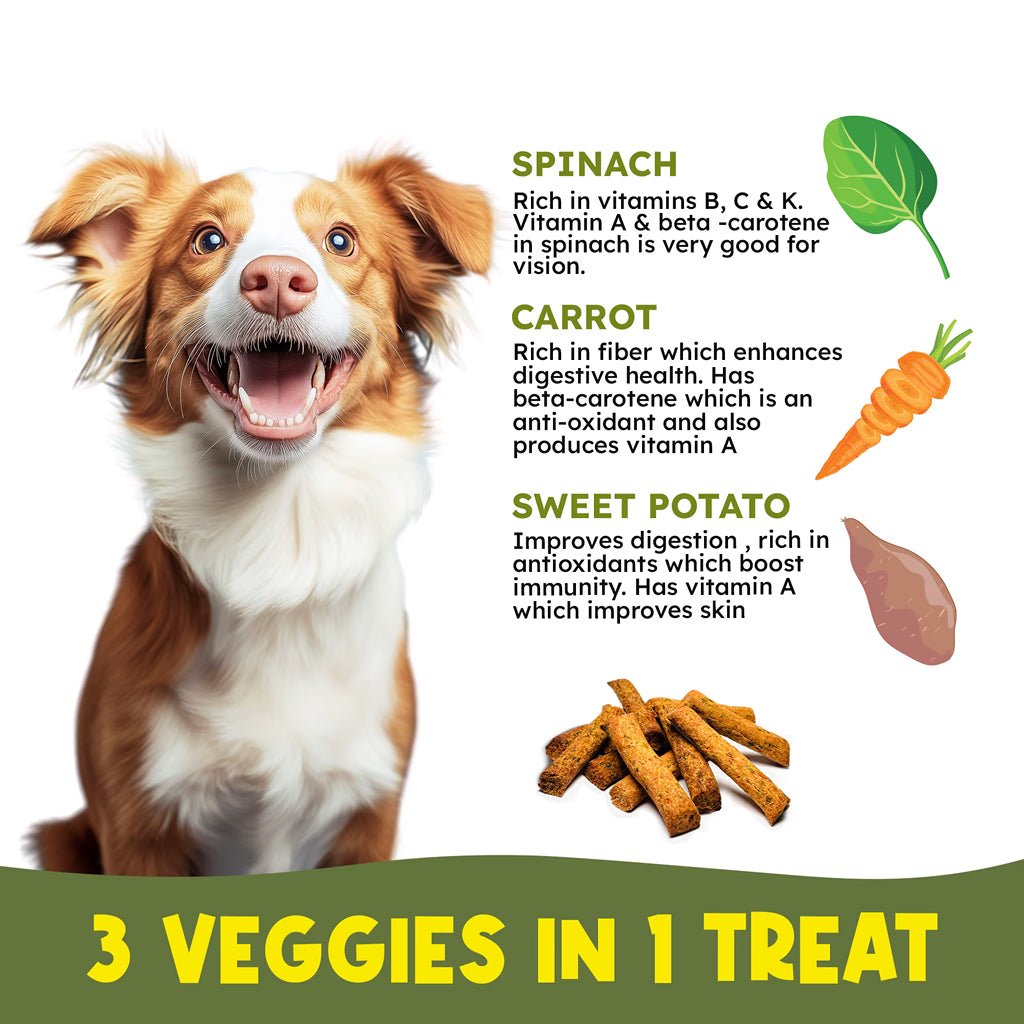 Best Selling Sticks Combo - Veggie Sticks (180 gms) + Chicken Sticks (180 gms)