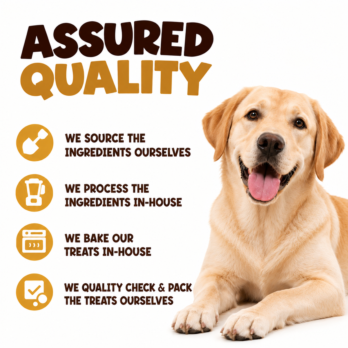 TrueTumz assured quality with golden retriever: ingredients sourced, processed and checked in house