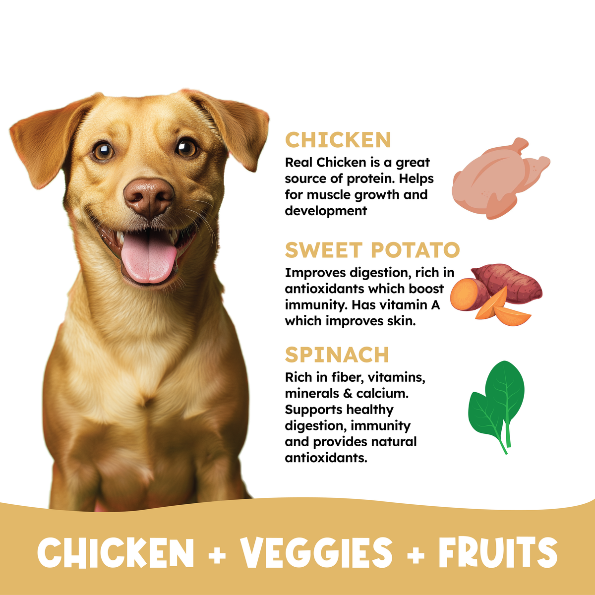 Chicken Lollipops - 2 Flavors 2 Pack Combo -  Spinach and Cheese Cranberry - 115 gms x 2