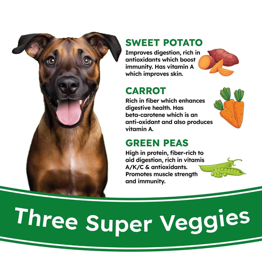 Veggie Pops - FOUR Veggies in one Crunchy & High Fiber Treat (105 gms - 20 pops)