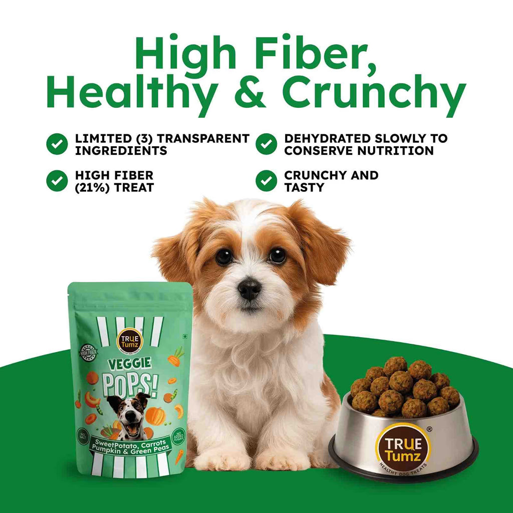 Veggie Pops - FOUR Veggies in one Crunchy & High Fiber Treat (105 gms - 20 pops)