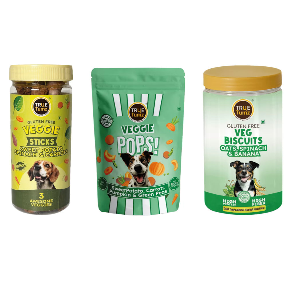 Veggie Best Sellers Combo - Veggie Sticks (180 gms) , Veggie Pops (105 gms) & Veggie Biscuits (275 gms)