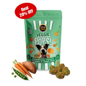 Veggie Pops - FOUR Veggies in one Crunchy & High Fiber Treat (105 gms - 20 pops)